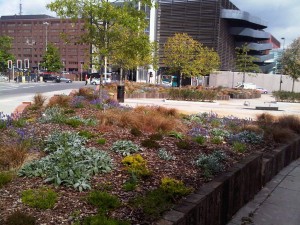 garden