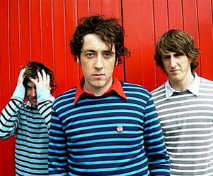 wombats The Wombats