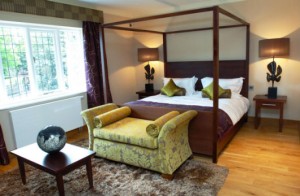 The Bear's Paw - Bedroom