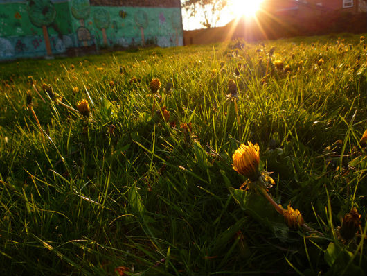 sun liverpool
