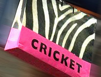 Cricket-Liverpool 5