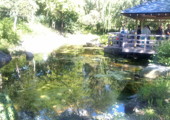 japanese-garden