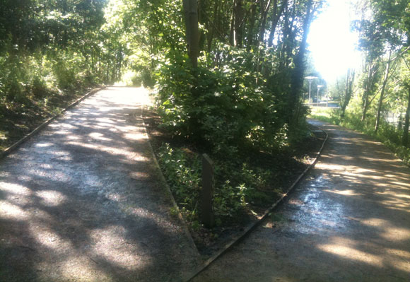 woodland-paths