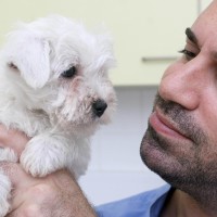 PUPPY_4_CONNORS