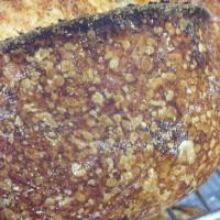 photo 1 (1)