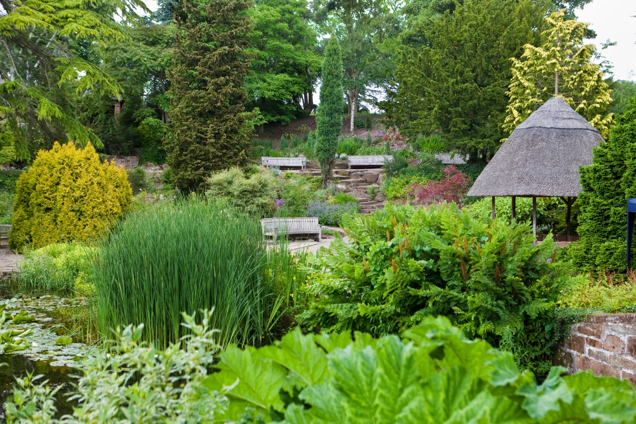 NESSGARDENS_PETERCORCORAN_026-1280x853-2